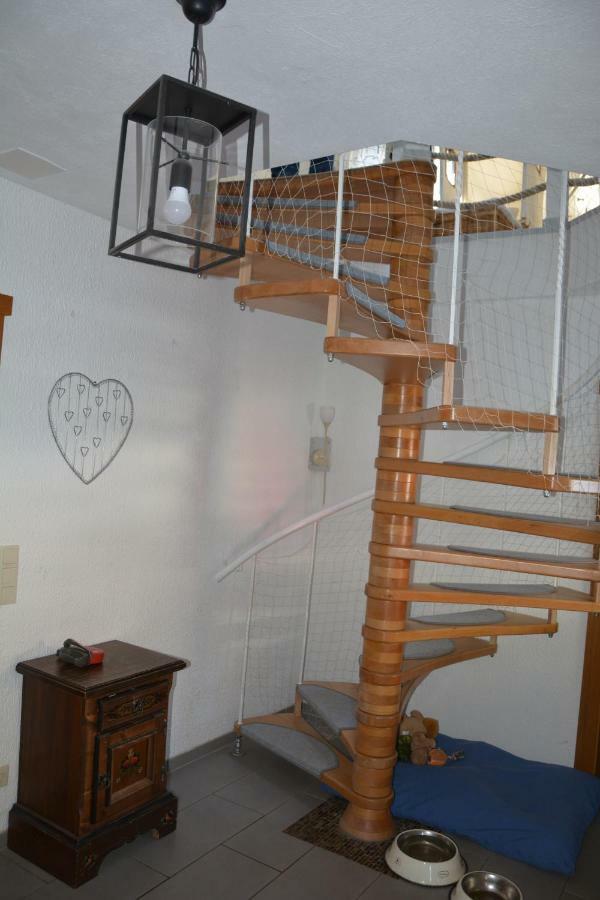 Bromskirchen Ferienhaus Winterberg מראה חיצוני תמונה